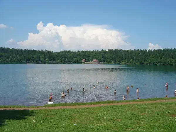 Monte Escalier 43 Monte escalier Cayres